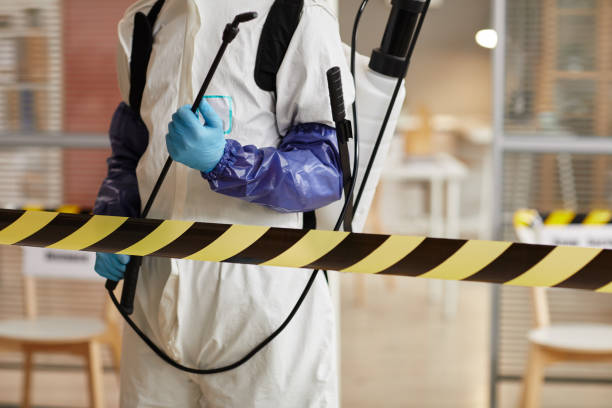 Professional Sewage Cleanup technician working in Springdale, NJ